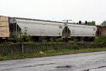 CGLX 2301